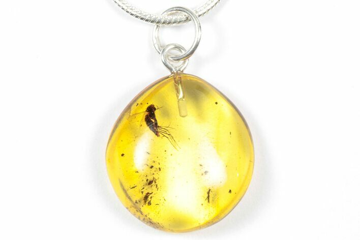 Polished Baltic Amber Pendant (Necklace) - Contains Fly! #357927